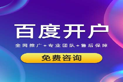 实战解析：SEM推广代运营案例